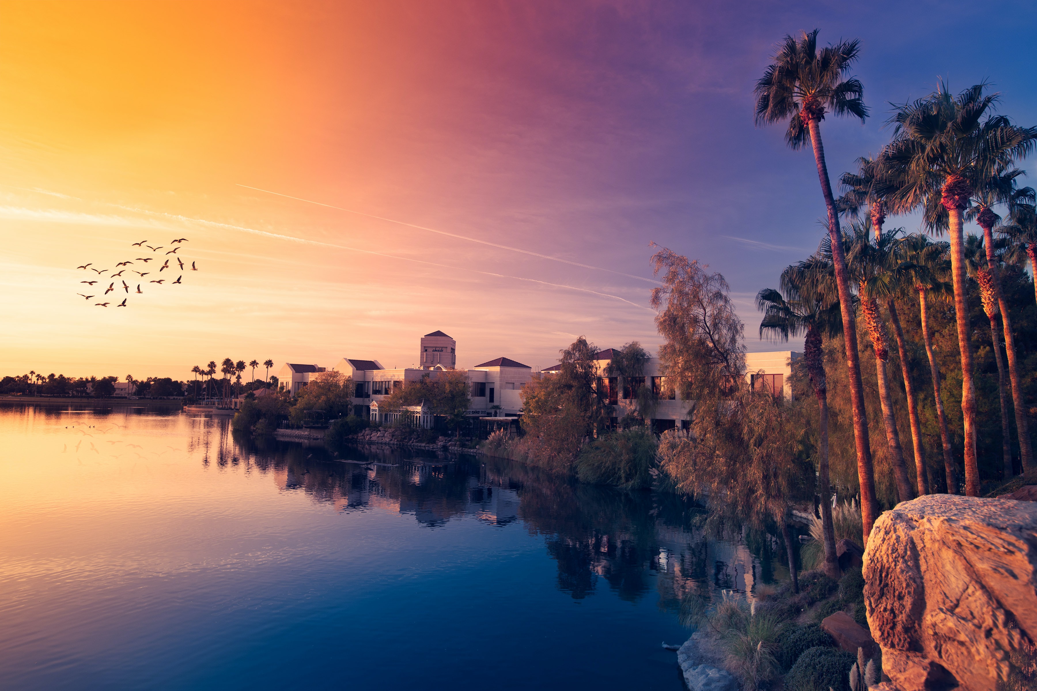 sunset-purple-sky-colorful-sky-village-palm-trees-flying